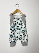 Load image into Gallery viewer, Earth Baby Outfitters Romper &amp; Hat Size 3-6 Months
