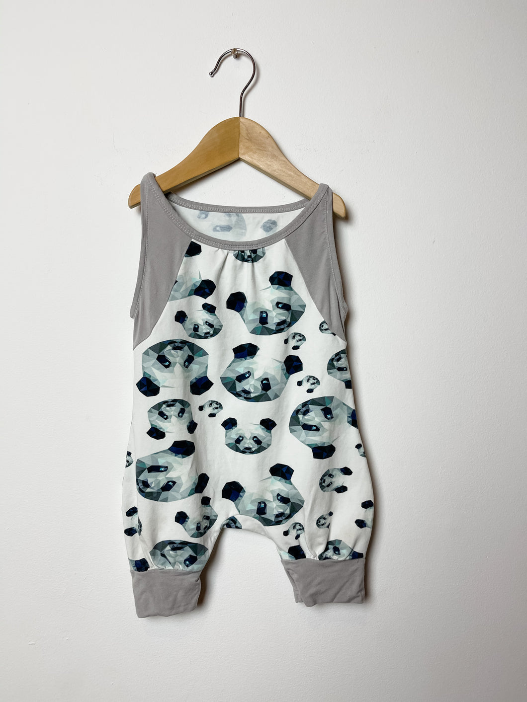 Earth Baby Outfitters Romper & Hat Size 3-6 Months