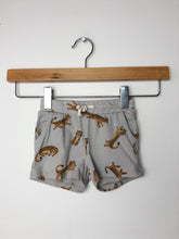 Load image into Gallery viewer, Leopard H&amp;M Shorts Size 4-6 Months
